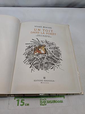 Un toit dans la forêt