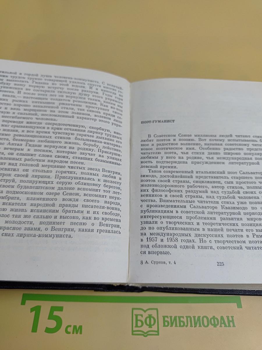 Собрание сочинений. Том 4. Статьи о литературе. Литературные портреты