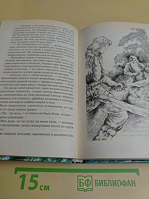 Дочь некроманта. Вернуть Посох