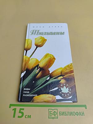 Тюльпаны