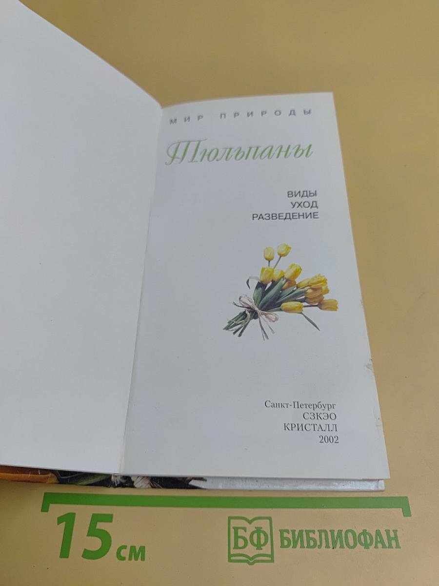 Тюльпаны