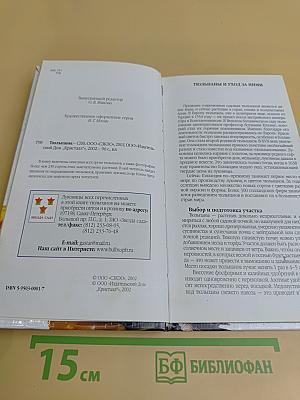 Тюльпаны