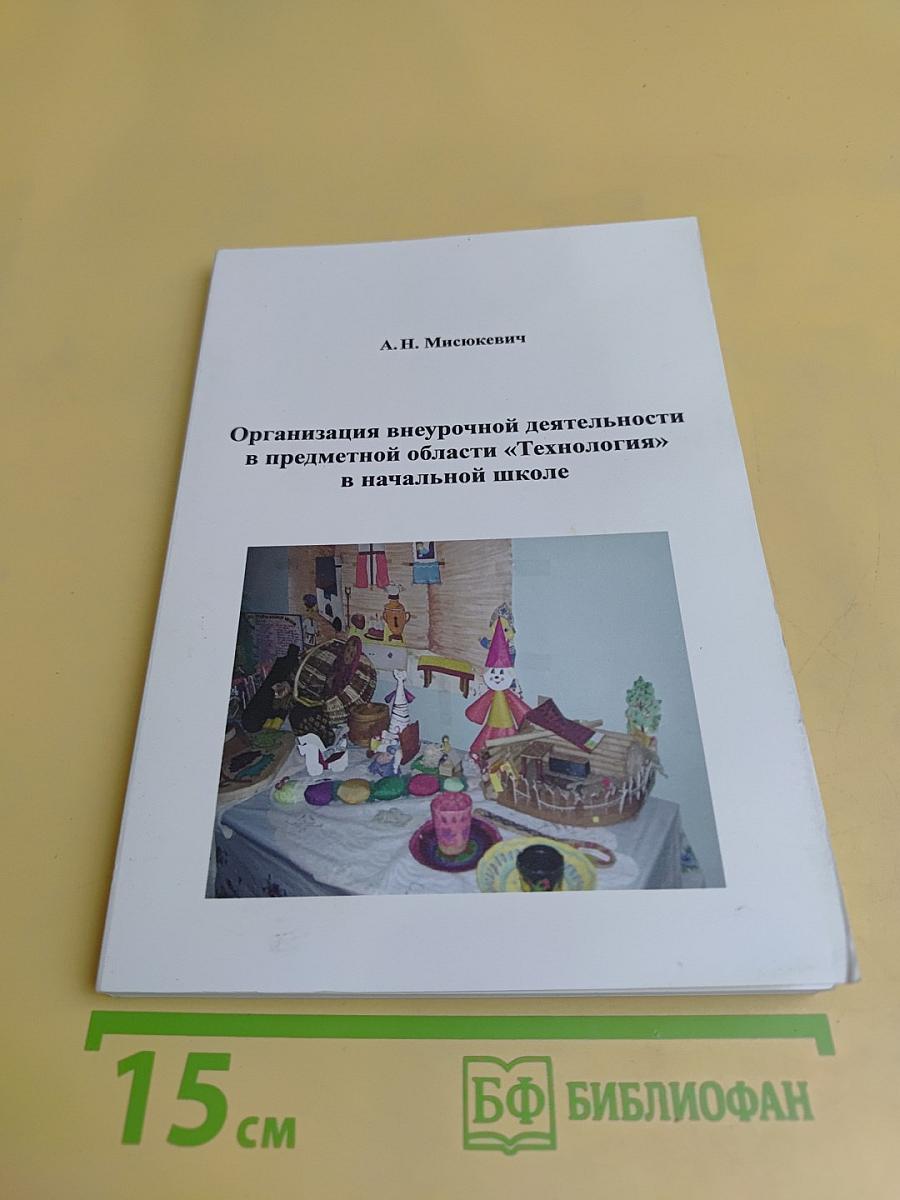 Организация внеурочной деятельности в предметной области «Технология» в начальной школе