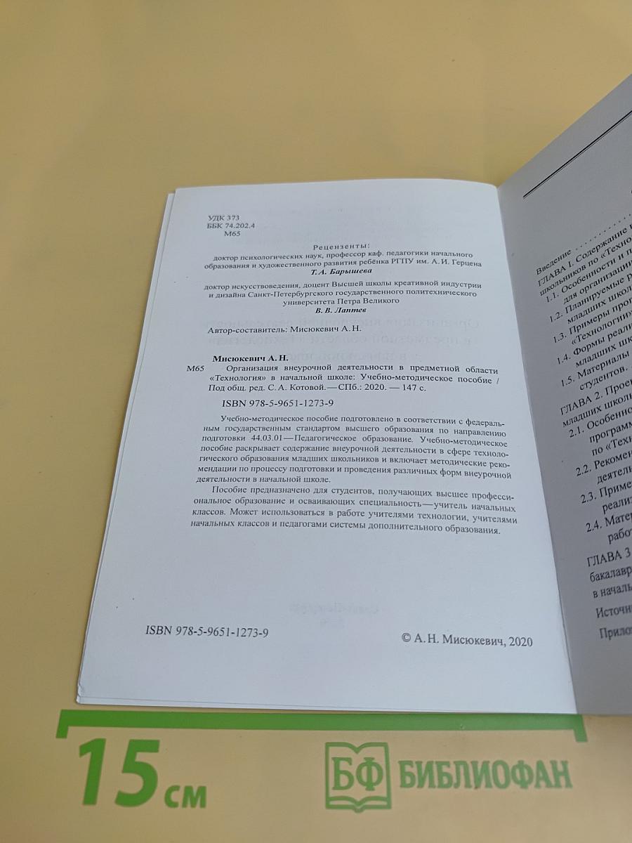 Организация внеурочной деятельности в предметной области «Технология» в начальной школе