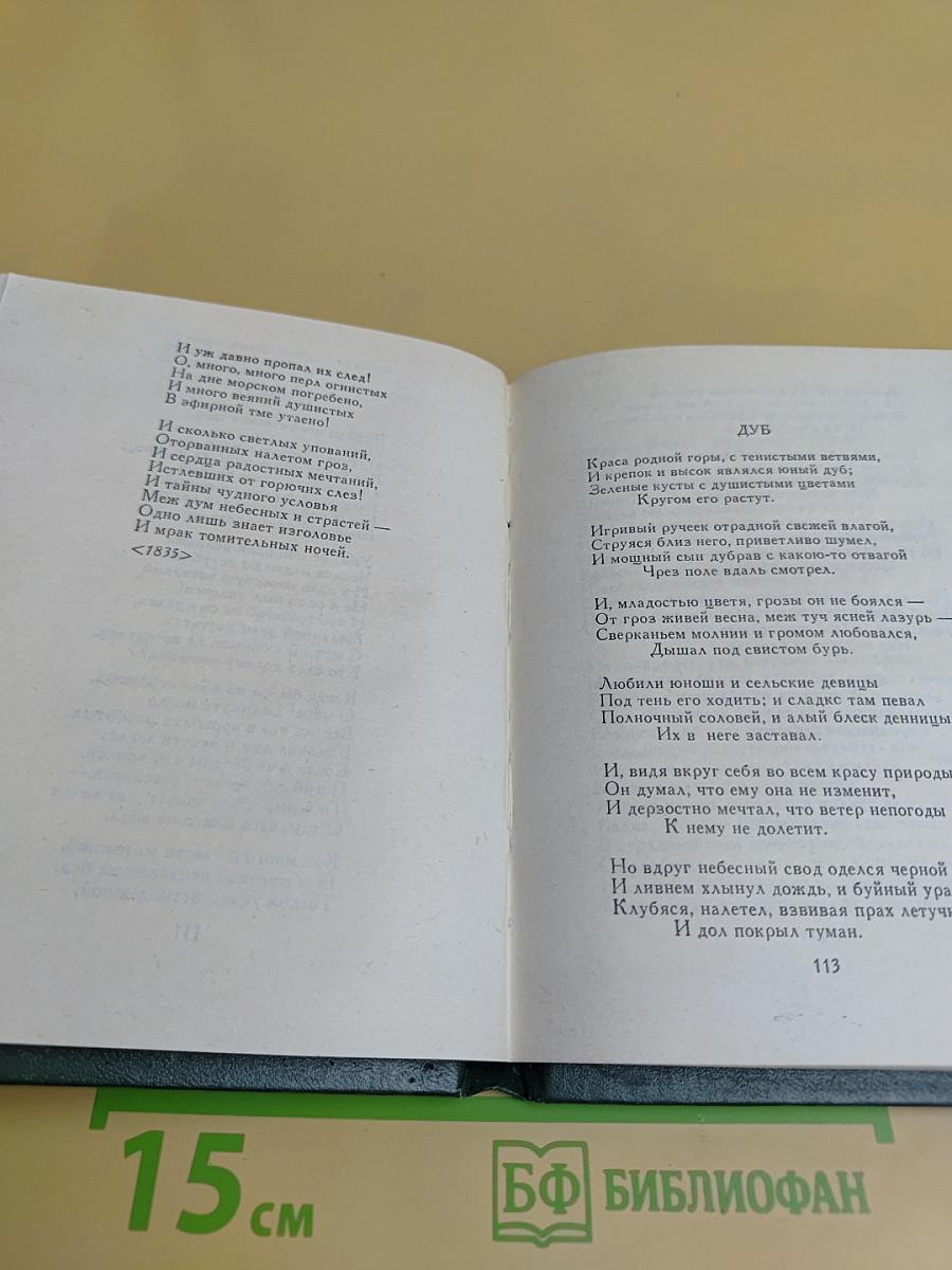 Поэтическая Россия. Стихотворения