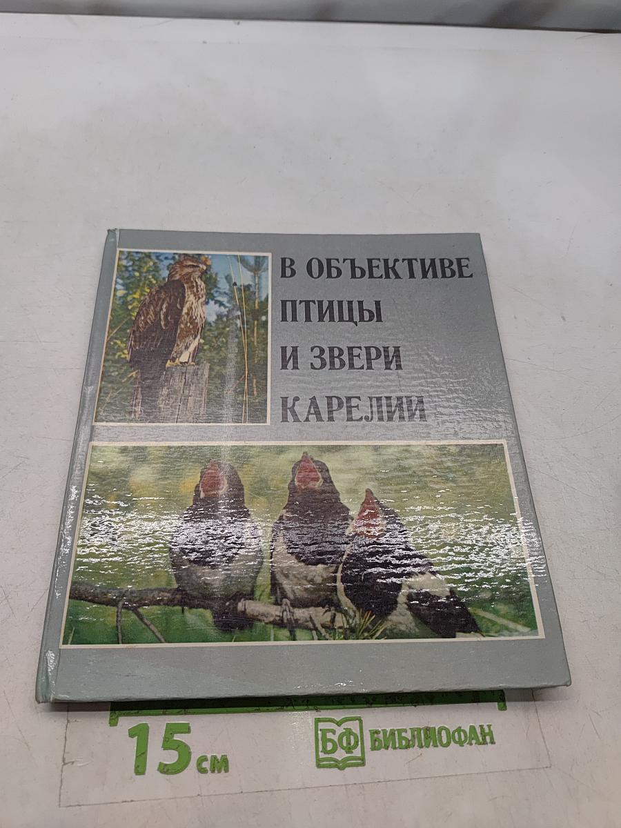 В объективе птицы и звери Карелии