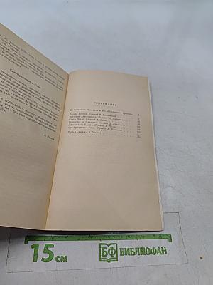 Ванина Ванини