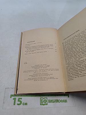 Пастыри ночи