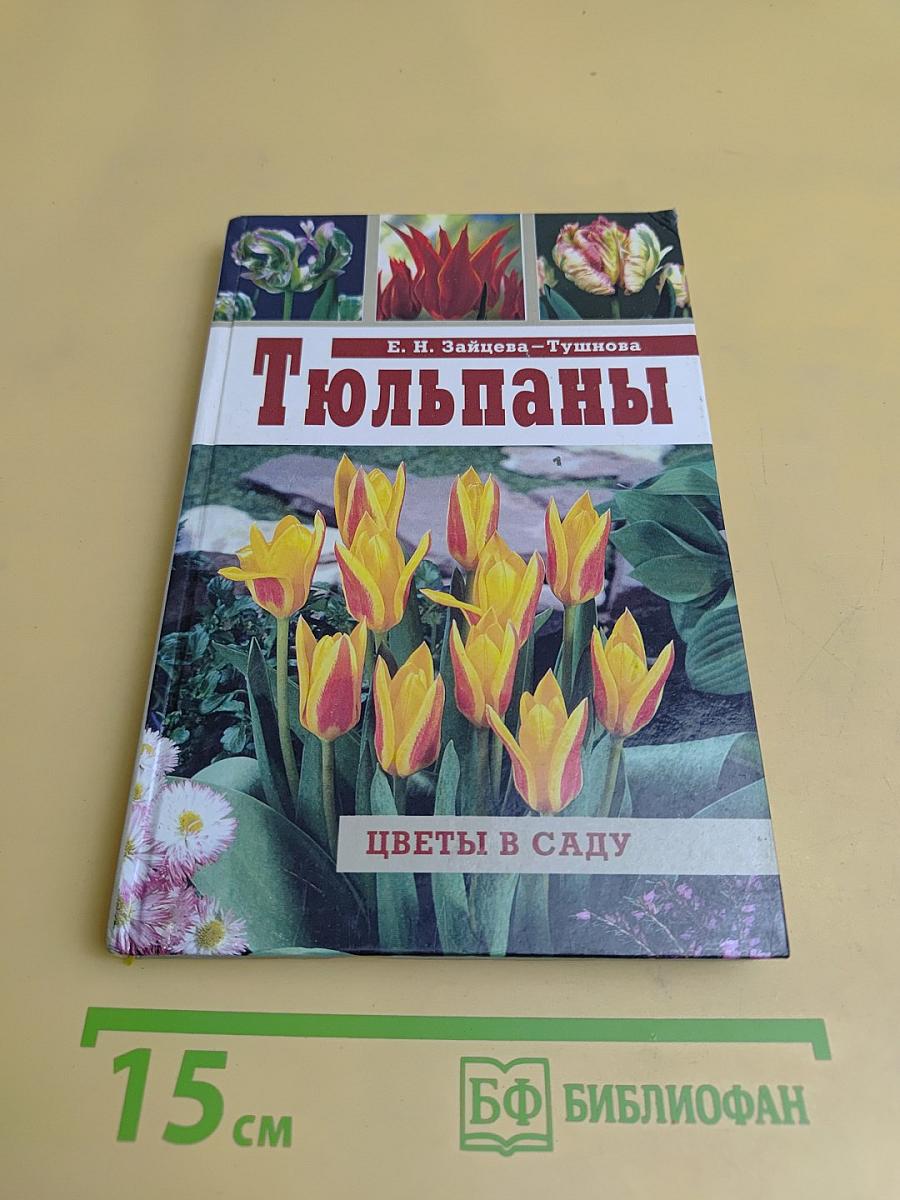 Тюльпаны