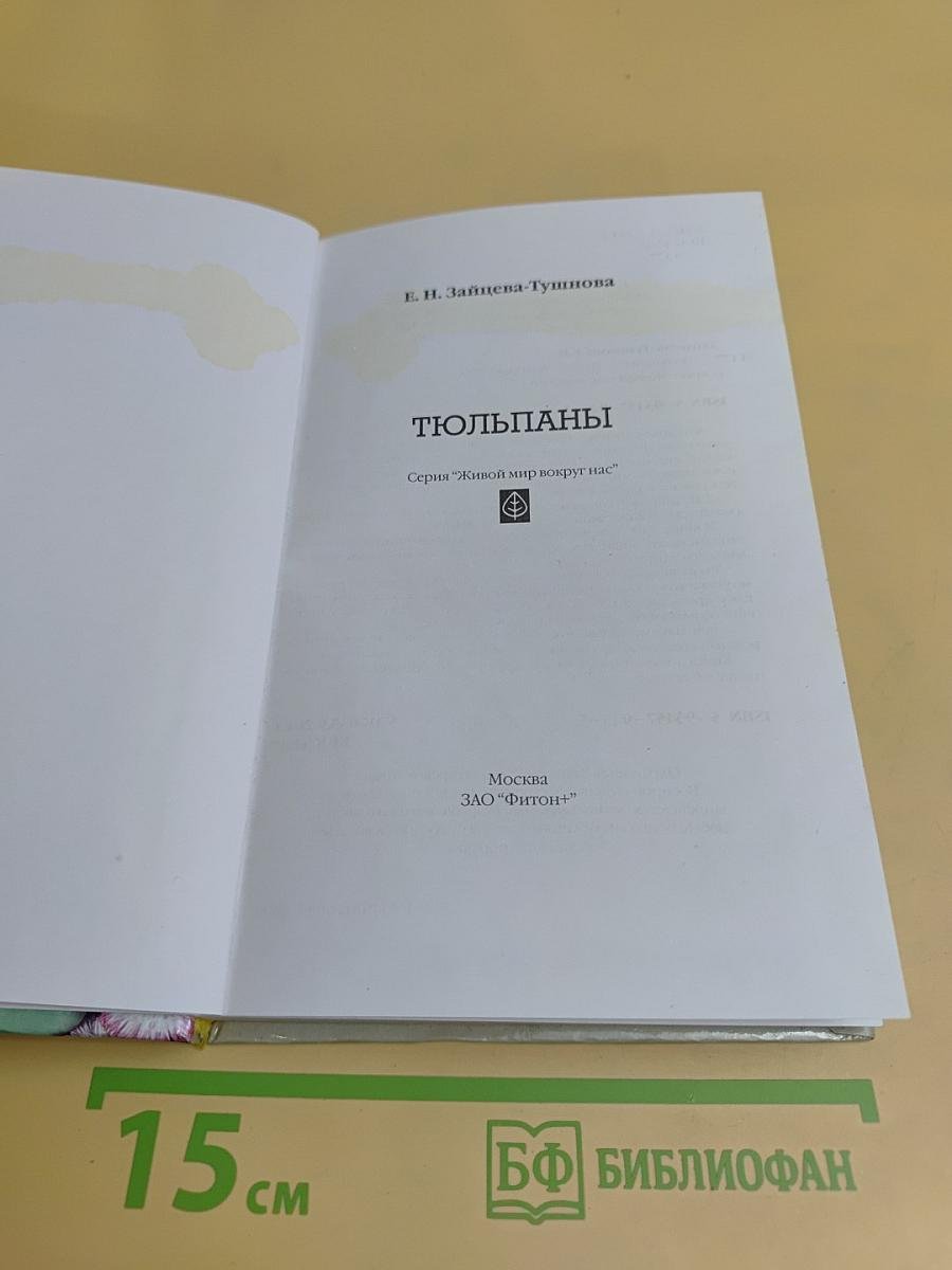Тюльпаны