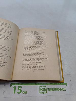 Избранные произведения. Том второй. Стихотворения, поэмы, переводы, критические заметки