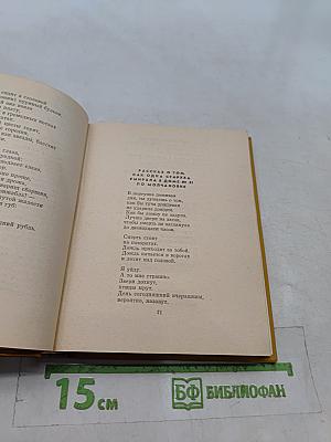 Избранные произведения. Том второй. Стихотворения, поэмы, переводы, критические заметки