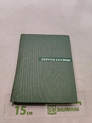 Собрание сочинений. Том четвертый. Проза. Статьи и заметки
