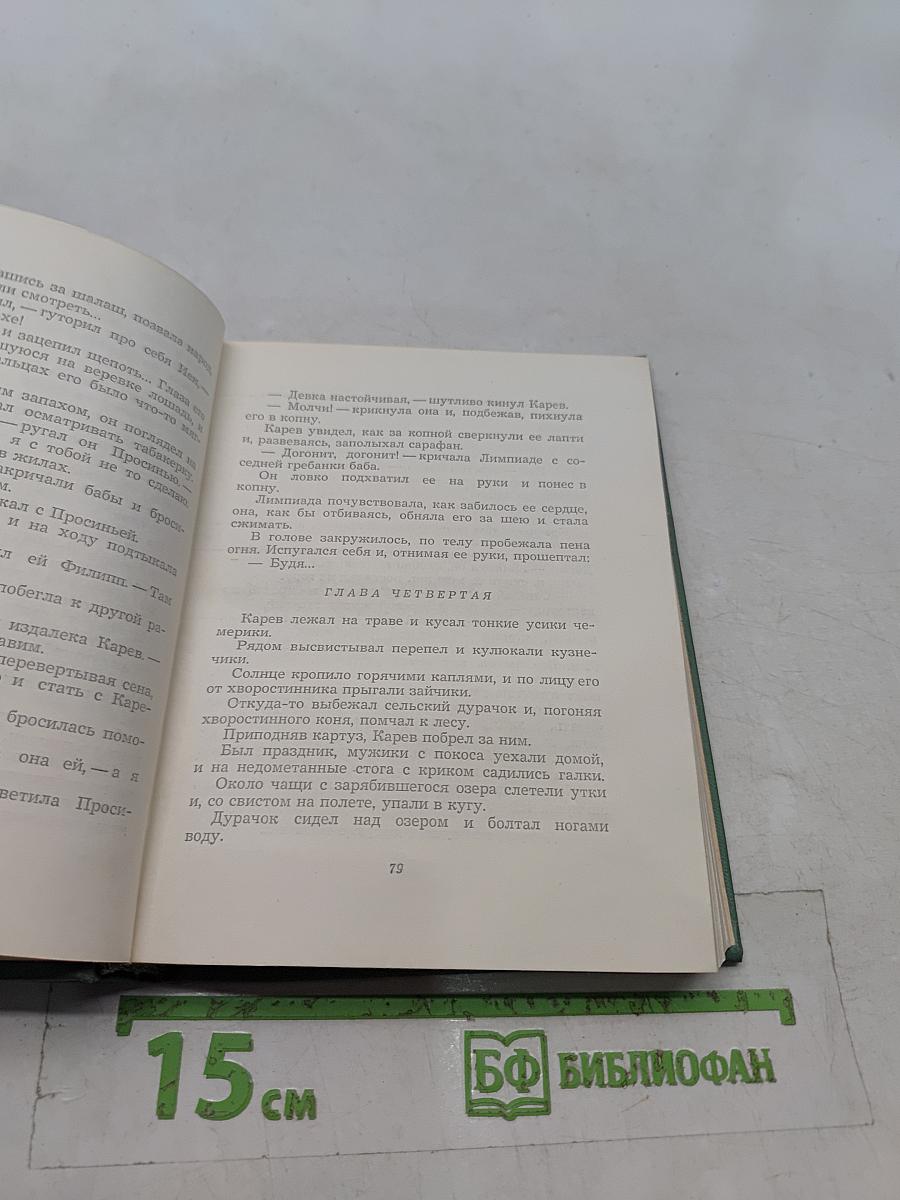 Собрание сочинений. Том четвертый. Проза. Статьи и заметки