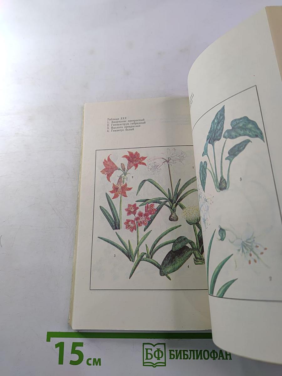 Цветы в вашем доме