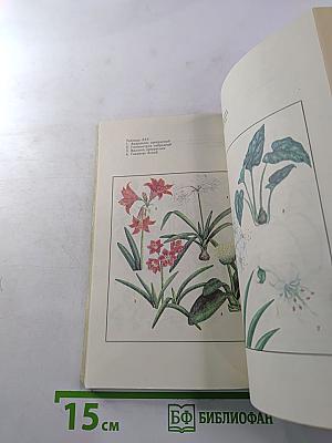 Цветы в вашем доме