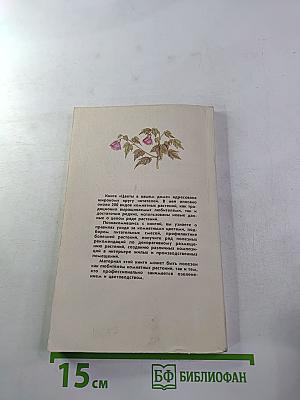 Цветы в вашем доме