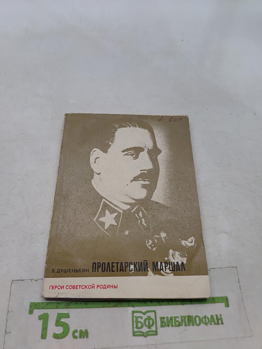 Пролетарский маршал (о В. К. Блюхере)