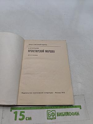 Пролетарский маршал (о В. К. Блюхере)