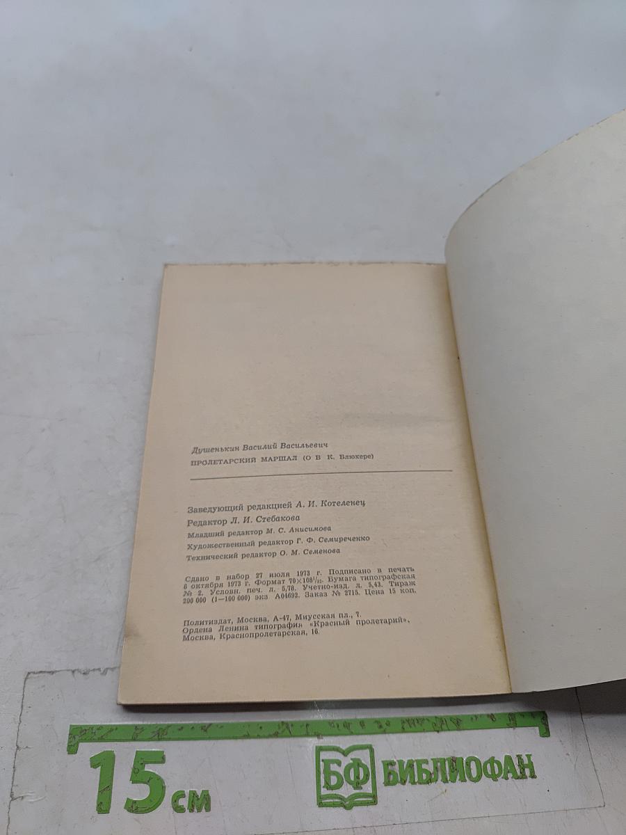 Пролетарский маршал (о В. К. Блюхере)