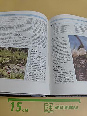 Календарь колдуньи