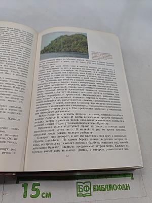 Ожерелье экватора