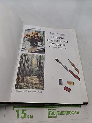 Цветы и пейзажи России. В помощь живописцу