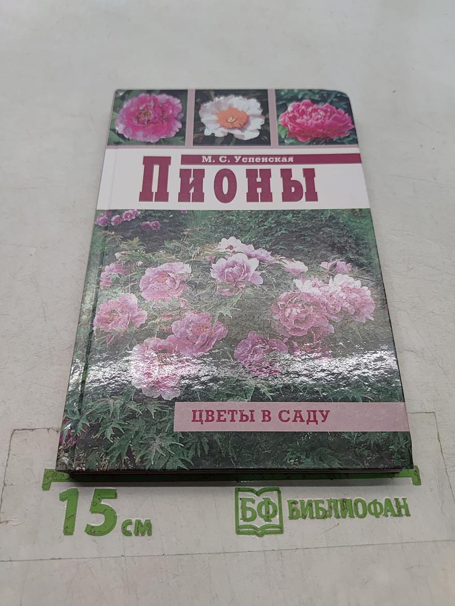 Пионы