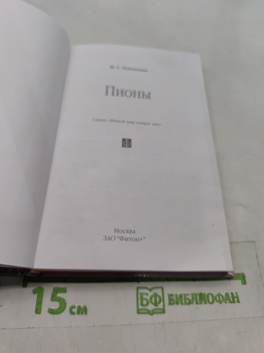 Пионы