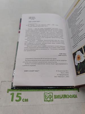 Пионы