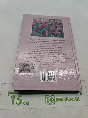 Пионы