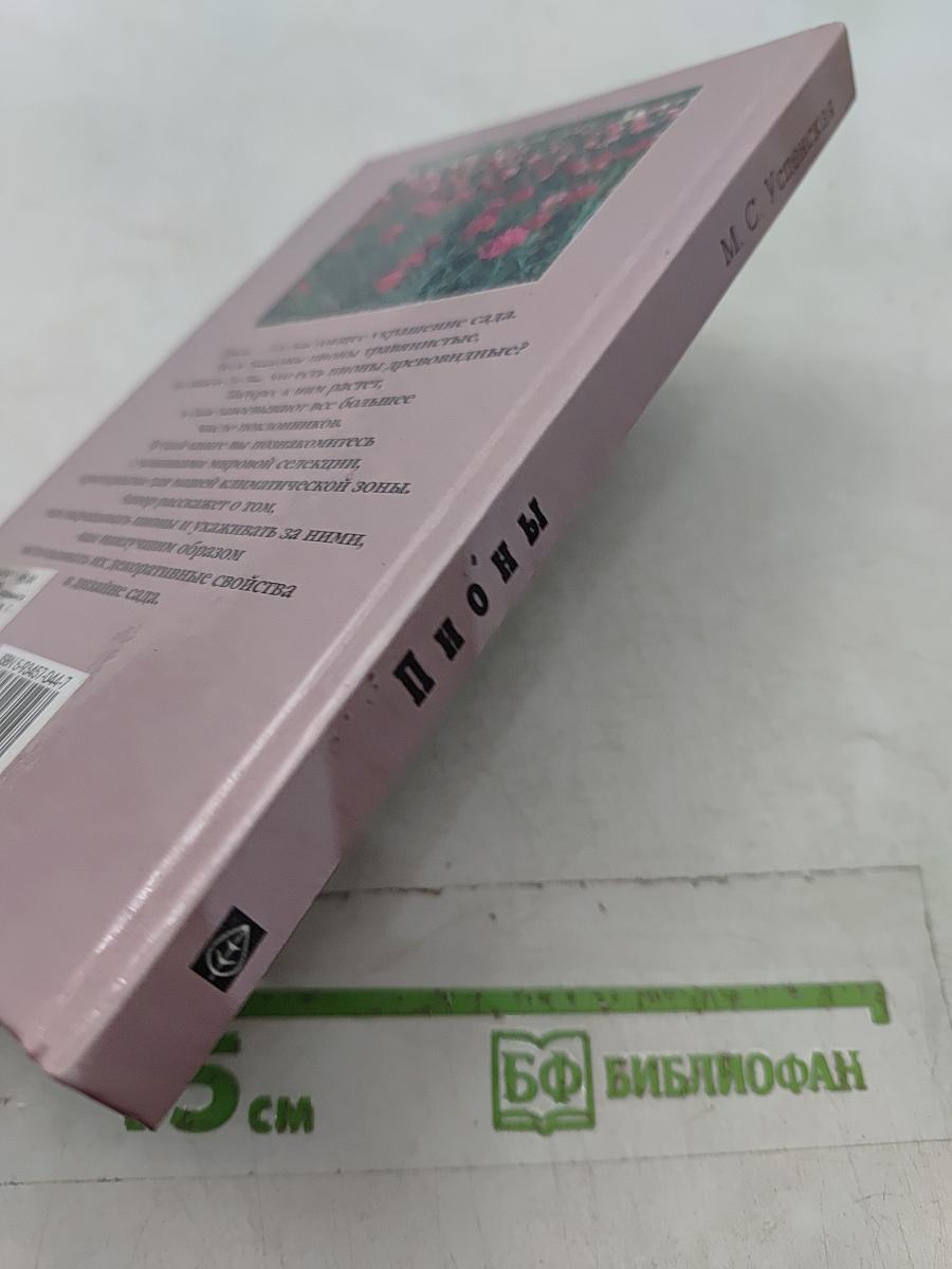 Пионы