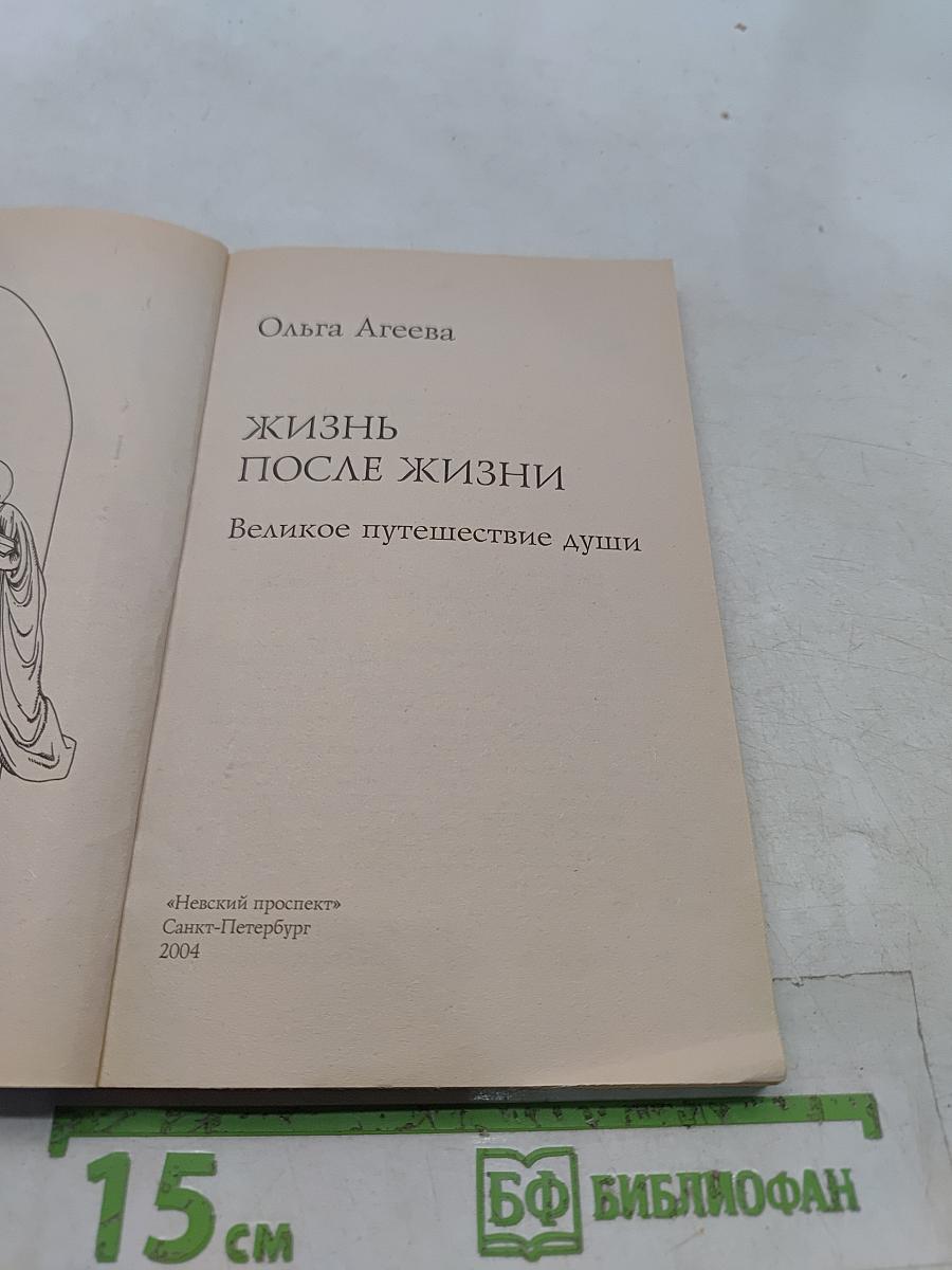 Жизнь после жизни