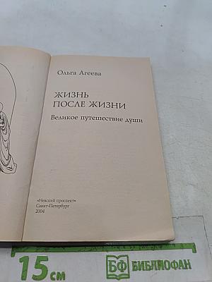 Жизнь после жизни