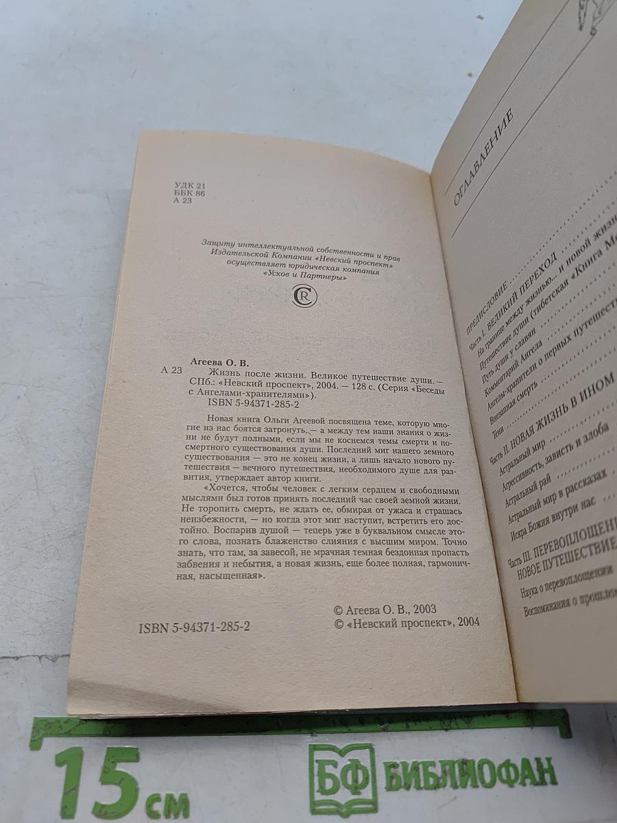 Жизнь после жизни