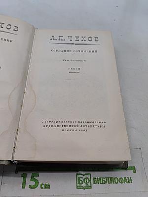 Собрание сочинений. Том девятый. Пьесы 1880-1904