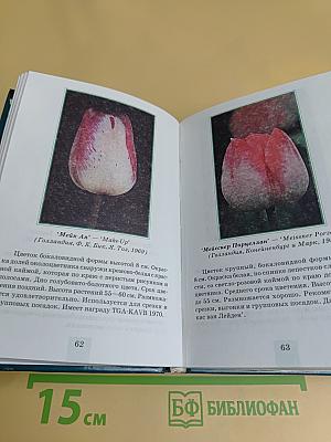 Тюльпаны. Определитель