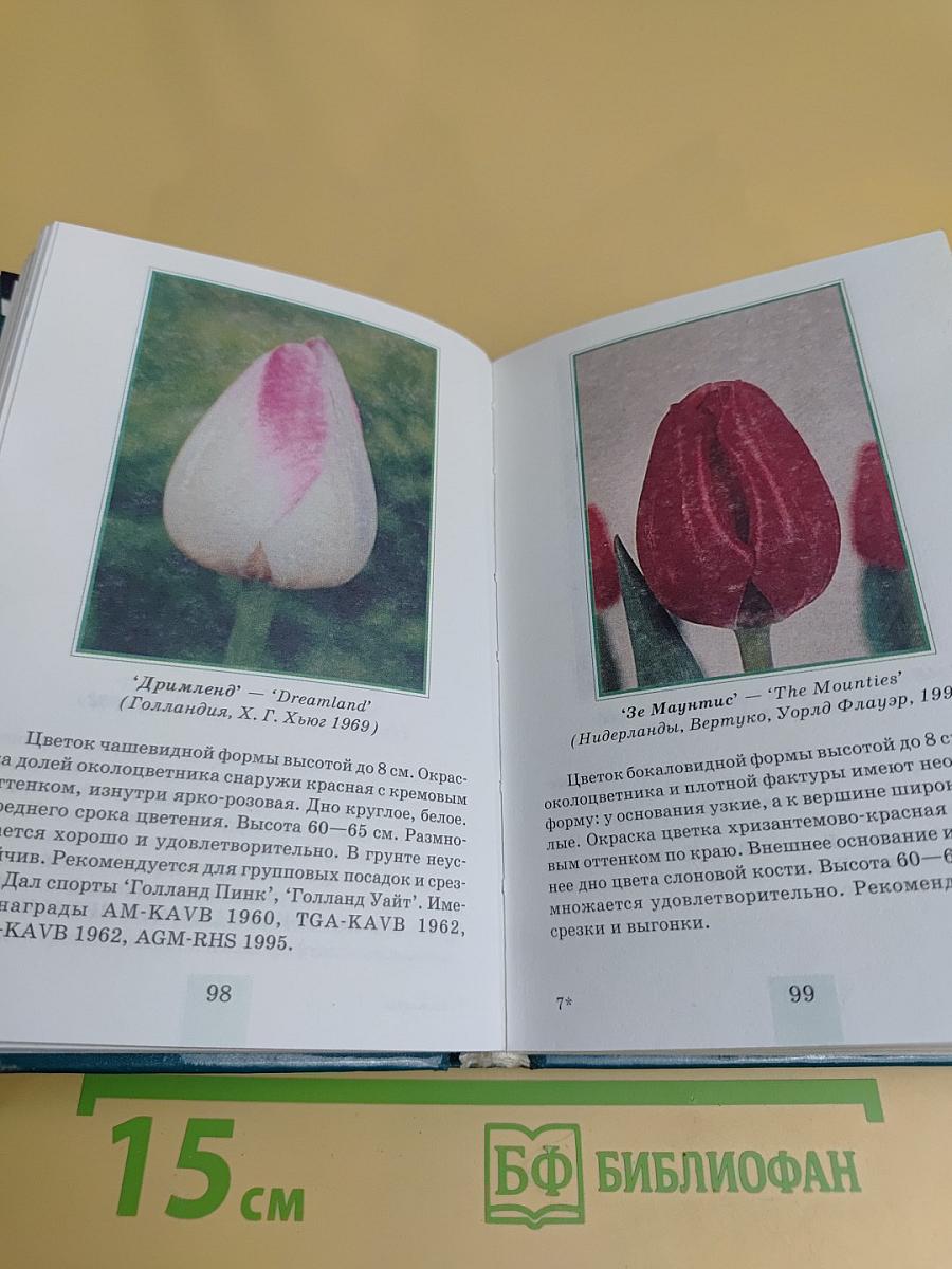 Тюльпаны. Определитель