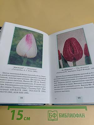 Тюльпаны. Определитель
