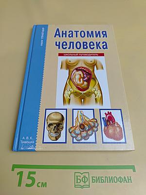 Анатомия человека. Школьный путеводитель