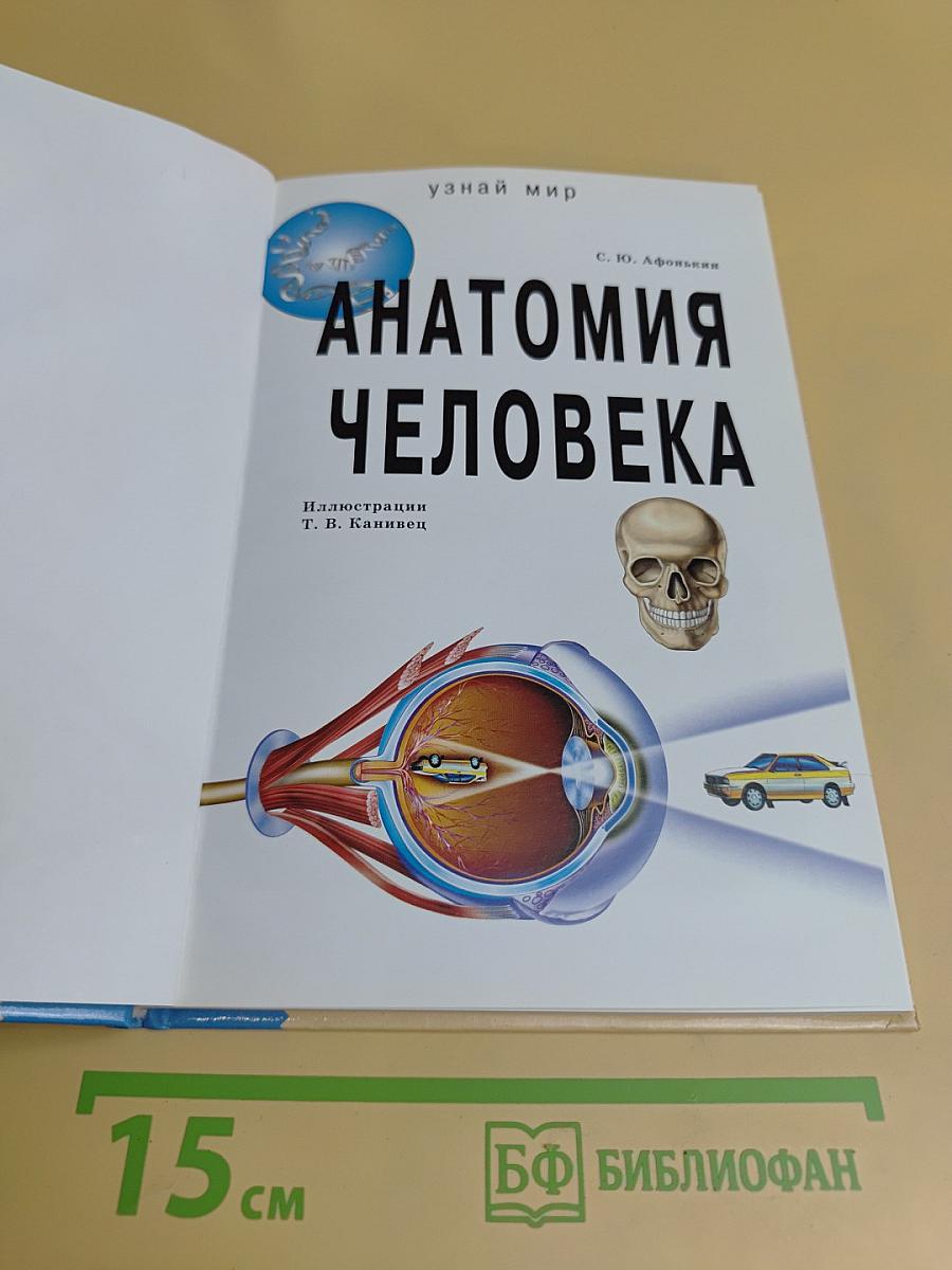 Анатомия человека. Школьный путеводитель