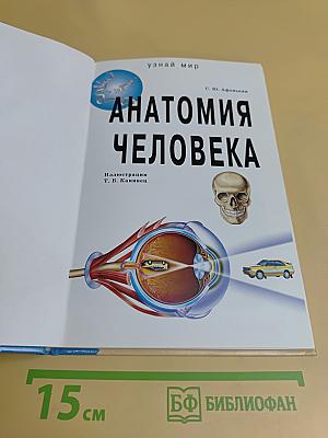 Анатомия человека. Школьный путеводитель