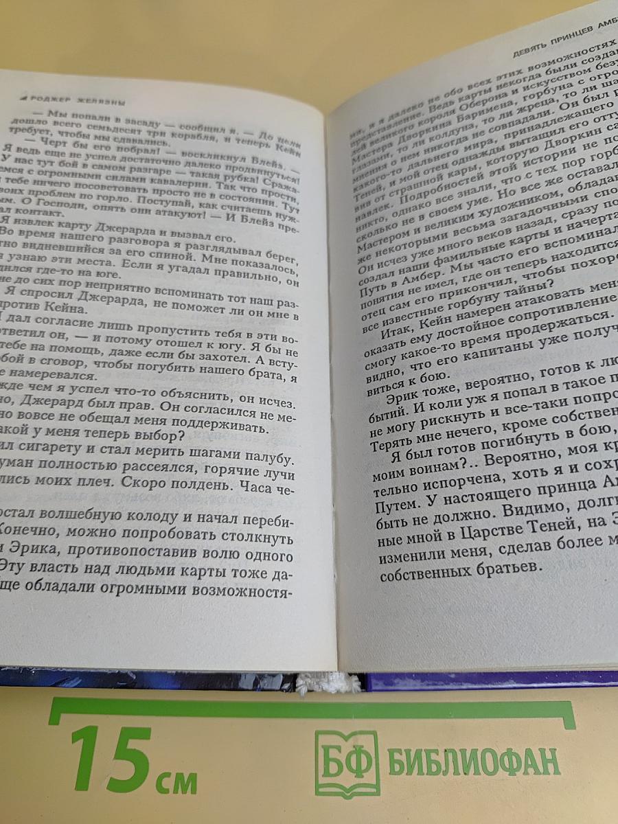 Девять принцев Амбера. Рыжая Авалона