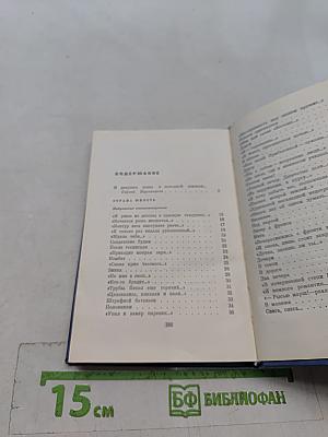 Страна юность. Избранные стихотворения