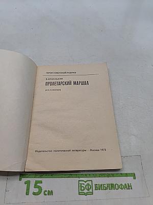 Пролетарский маршал (О В. К. Блюхере)