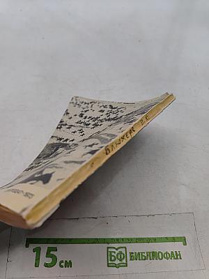 Пролетарский маршал (О В. К. Блюхере)