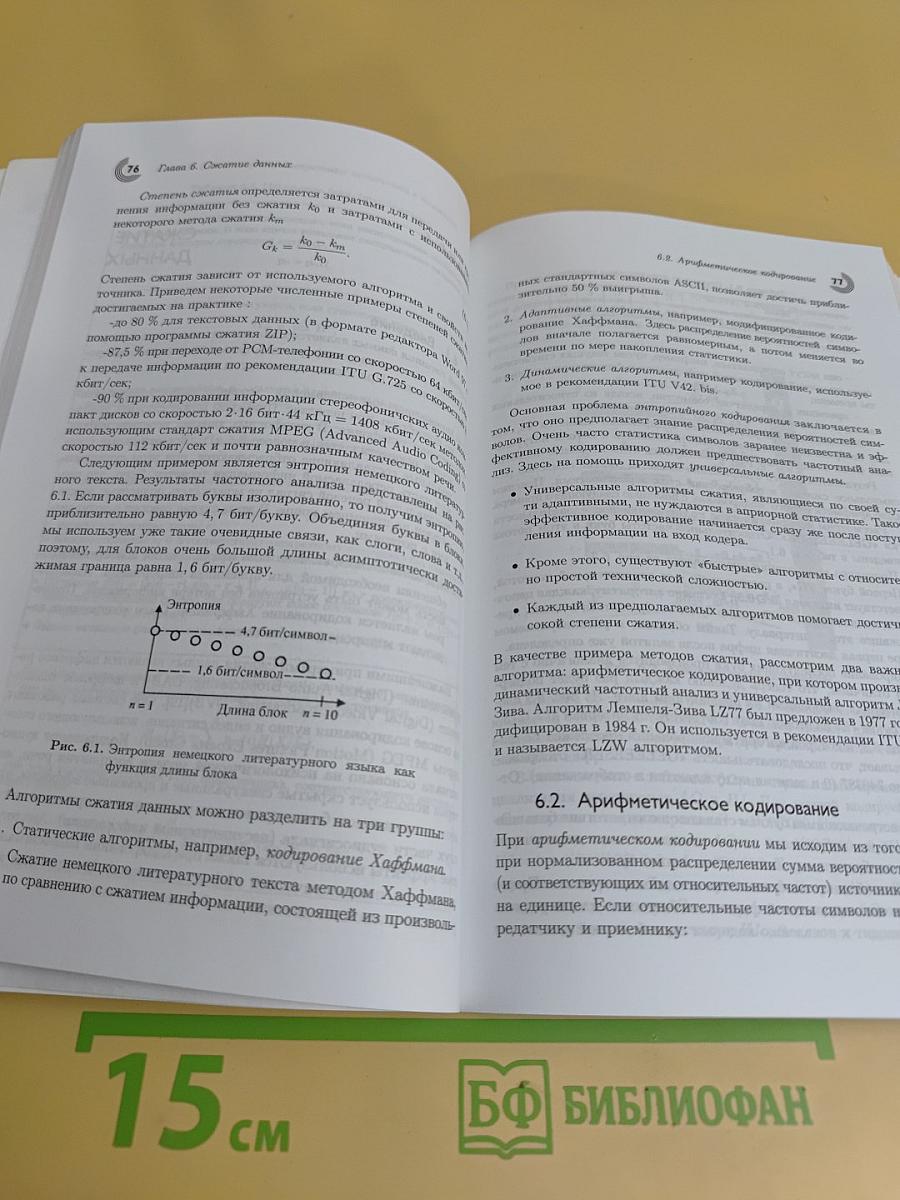 Мир программирования. Основы кодирования. Учебник для вузов