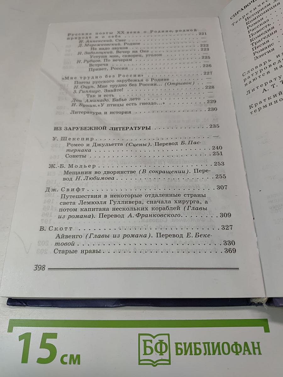 Литература. 8 класс. Часть 2