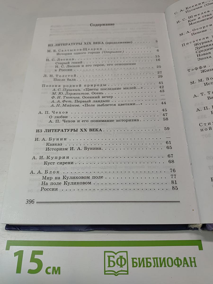 Литература. 8 класс. Часть 2