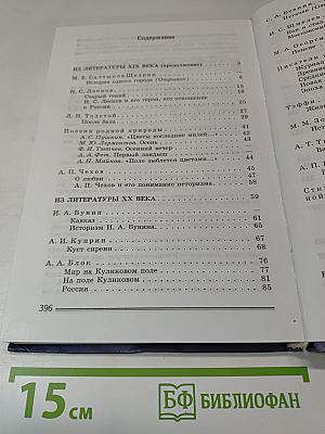 Литература. 8 класс. Часть 2